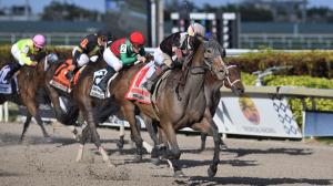 Pink Sands Inside Information